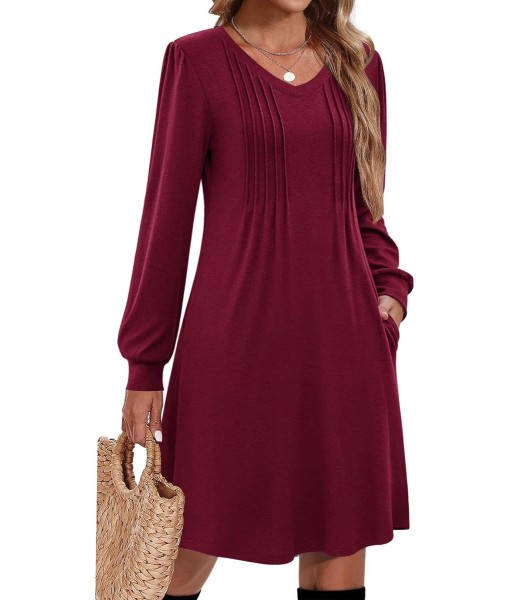 Zeagoo Fall Dresses for Women Long Sleeve Casual Pleated V Neck Dress 2025 A Line Tunic Dress