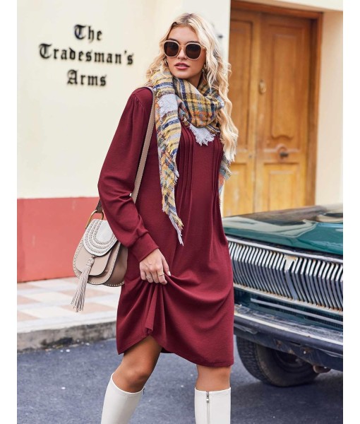 Zeagoo Fall Dresses for Women Long Sleeve Casual Pleated V Neck Dress 2025 A Line Tunic Dress