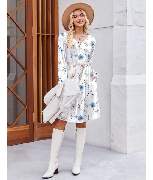 Zeagoo Fall Dresses for Women Long Sleeve Casual Pleated V Neck Dress 2025 A Line Tunic Dress