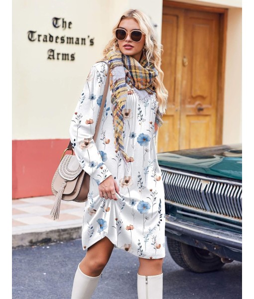 Zeagoo Fall Dresses for Women Long Sleeve Casual Pleated V Neck Dress 2025 A Line Tunic Dress