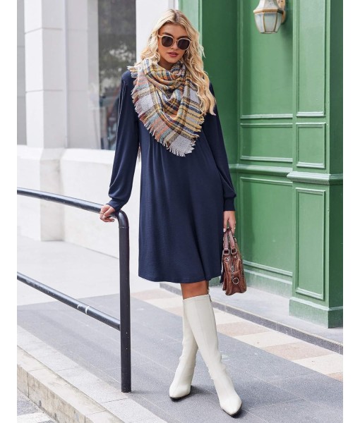Zeagoo Fall Dresses for Women Long Sleeve Casual Pleated V Neck Dress 2025 A Line Tunic Dress