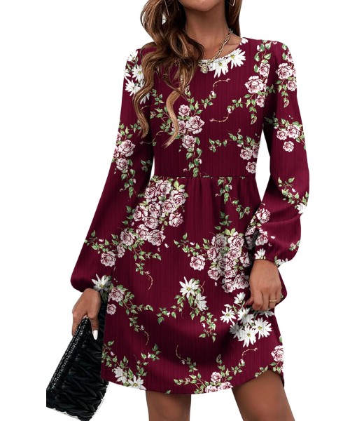 Zeagoo Women's Fall Sweater Dresses with Pockets Crew Neck Long Sleeve A-Line Dresses for Women 2025 Casual Winter Dresses