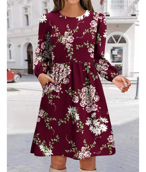 Zeagoo Women's Fall Sweater Dresses with Pockets Crew Neck Long Sleeve A-Line Dresses for Women 2025 Casual Winter Dresses