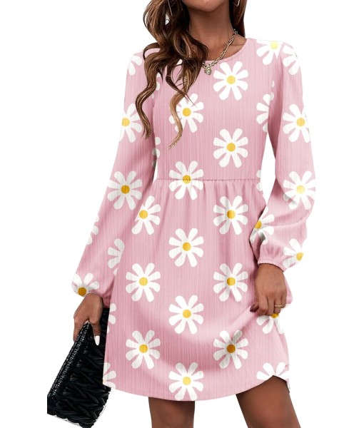 Zeagoo Women's Fall Sweater Dresses with Pockets Crew Neck Long Sleeve A-Line Dresses for Women 2025 Casual Winter Dresses