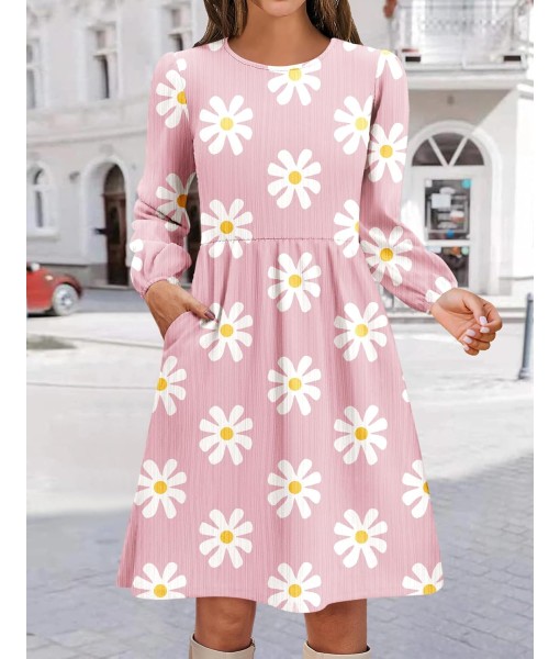 Zeagoo Women's Fall Sweater Dresses with Pockets Crew Neck Long Sleeve A-Line Dresses for Women 2025 Casual Winter Dresses