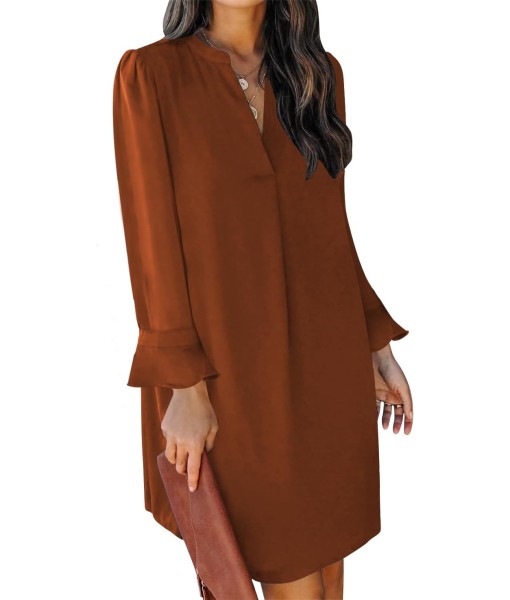 QACOHU Fall Dresses for Women 2025 Casual V Neck Long Sleeves Flowy Mini Tunic Dress