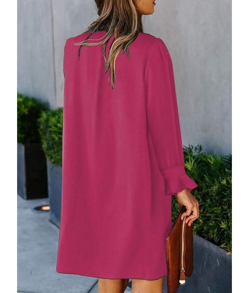 QACOHU Fall Dresses for Women 2025 Casual V Neck Long Sleeves Flowy Mini Tunic Dress