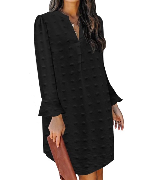 QACOHU Fall Dresses for Women 2025 Casual V Neck Long Sleeves Flowy Mini Tunic Dress