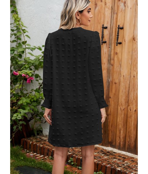QACOHU Fall Dresses for Women 2025 Casual V Neck Long Sleeves Flowy Mini Tunic Dress