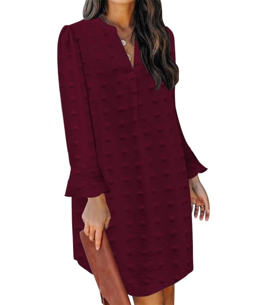 QACOHU Fall Dresses for Women 2025 Casual V Neck Long Sleeves Flowy Mini Tunic Dress