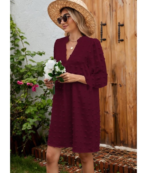 QACOHU Fall Dresses for Women 2025 Casual V Neck Long Sleeves Flowy Mini Tunic Dress