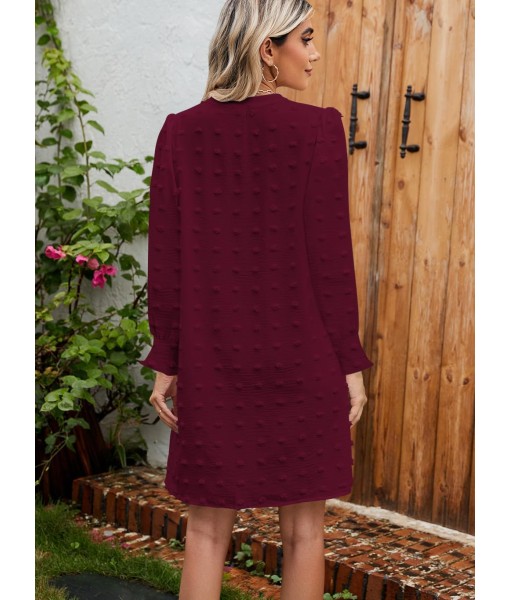 QACOHU Fall Dresses for Women 2025 Casual V Neck Long Sleeves Flowy Mini Tunic Dress