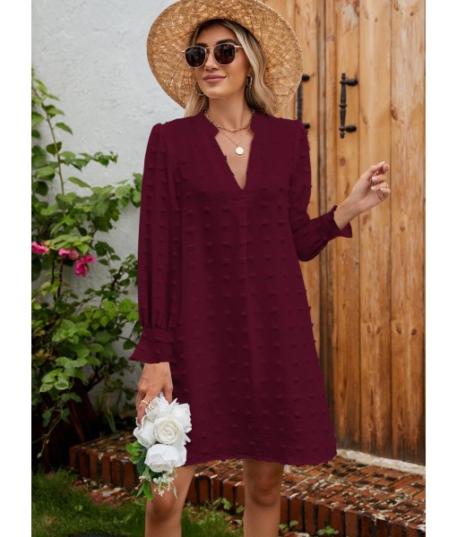 QACOHU Fall Dresses for Women 2025 Casual V Neck Long Sleeves Flowy Mini Tunic Dress