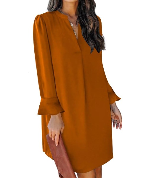 QACOHU Fall Dresses for Women 2025 Casual V Neck Long Sleeves Flowy Mini Tunic Dress