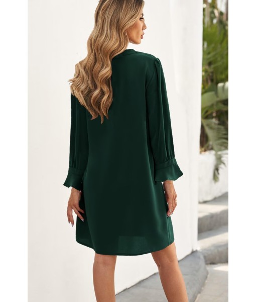 QACOHU Fall Dresses for Women 2025 Casual V Neck Long Sleeves Flowy Mini Tunic Dress