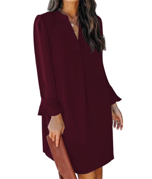 QACOHU Fall Dresses for Women 2025 Casual V Neck Long Sleeves Flowy Mini Tunic Dress