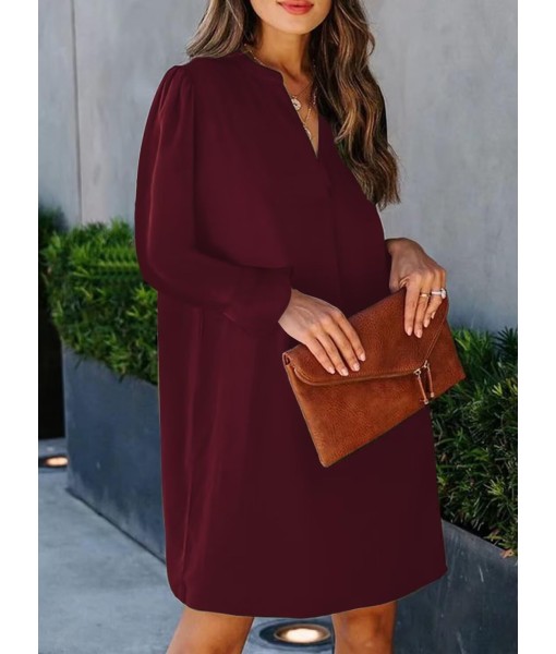 QACOHU Fall Dresses for Women 2025 Casual V Neck Long Sleeves Flowy Mini Tunic Dress