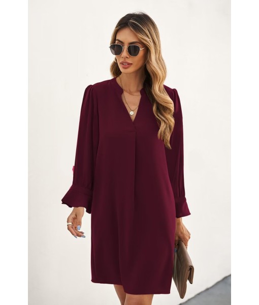 QACOHU Fall Dresses for Women 2025 Casual V Neck Long Sleeves Flowy Mini Tunic Dress