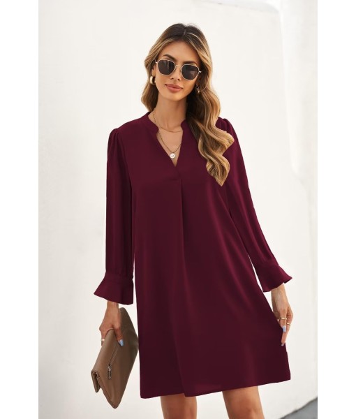 QACOHU Fall Dresses for Women 2025 Casual V Neck Long Sleeves Flowy Mini Tunic Dress