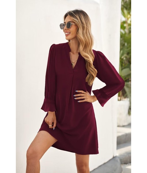 QACOHU Fall Dresses for Women 2025 Casual V Neck Long Sleeves Flowy Mini Tunic Dress