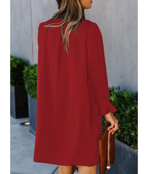 QACOHU Fall Dresses for Women 2025 Casual V Neck Long Sleeves Flowy Mini Tunic Dress