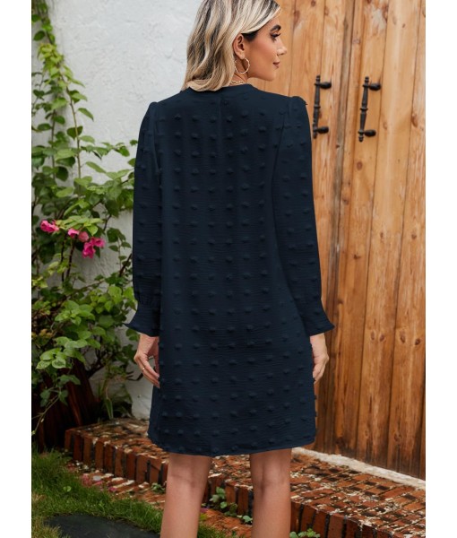 QACOHU Fall Dresses for Women 2025 Casual V Neck Long Sleeves Flowy Mini Tunic Dress