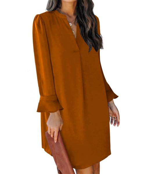 QACOHU Fall Dresses for Women 2025 Casual V Neck Long Sleeves Flowy Mini Tunic Dress