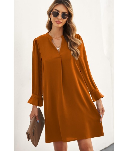 QACOHU Fall Dresses for Women 2025 Casual V Neck Long Sleeves Flowy Mini Tunic Dress