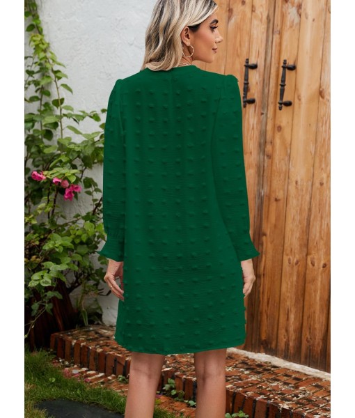 QACOHU Fall Dresses for Women 2025 Casual V Neck Long Sleeves Flowy Mini Tunic Dress