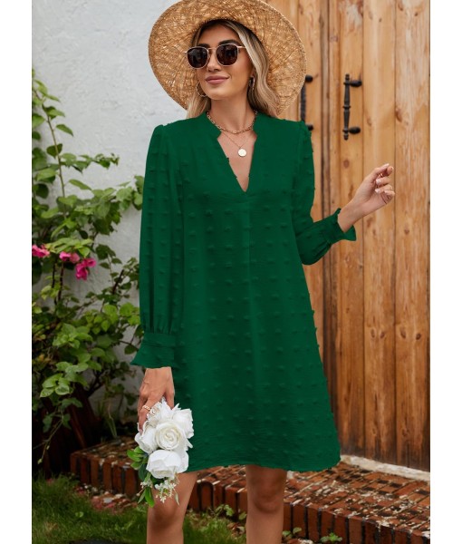 QACOHU Fall Dresses for Women 2025 Casual V Neck Long Sleeves Flowy Mini Tunic Dress