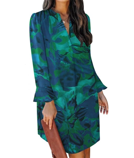 QACOHU Fall Dresses for Women 2025 Casual V Neck Long Sleeves Flowy Mini Tunic Dress