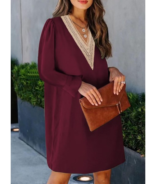QACOHU Fall Dresses for Women 2025 Casual V Neck Long Sleeves Flowy Mini Tunic Dress