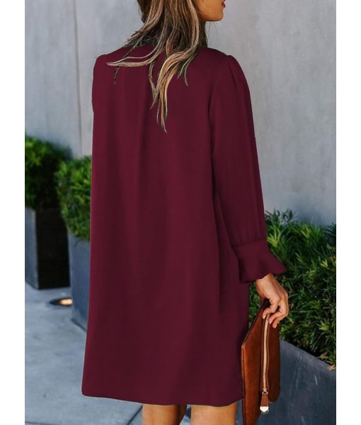 QACOHU Fall Dresses for Women 2025 Casual V Neck Long Sleeves Flowy Mini Tunic Dress