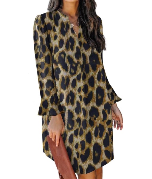 QACOHU Fall Dresses for Women 2025 Casual V Neck Long Sleeves Flowy Mini Tunic Dress