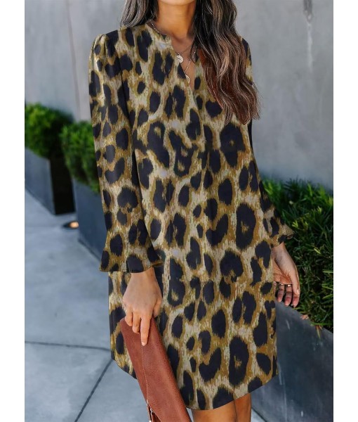 QACOHU Fall Dresses for Women 2025 Casual V Neck Long Sleeves Flowy Mini Tunic Dress