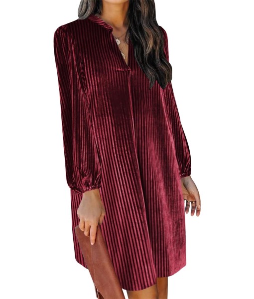 QACOHU Fall Dresses for Women 2025 Casual V Neck Long Sleeves Flowy Mini Tunic Dress