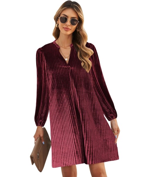 QACOHU Fall Dresses for Women 2025 Casual V Neck Long Sleeves Flowy Mini Tunic Dress