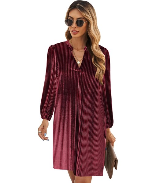 QACOHU Fall Dresses for Women 2025 Casual V Neck Long Sleeves Flowy Mini Tunic Dress