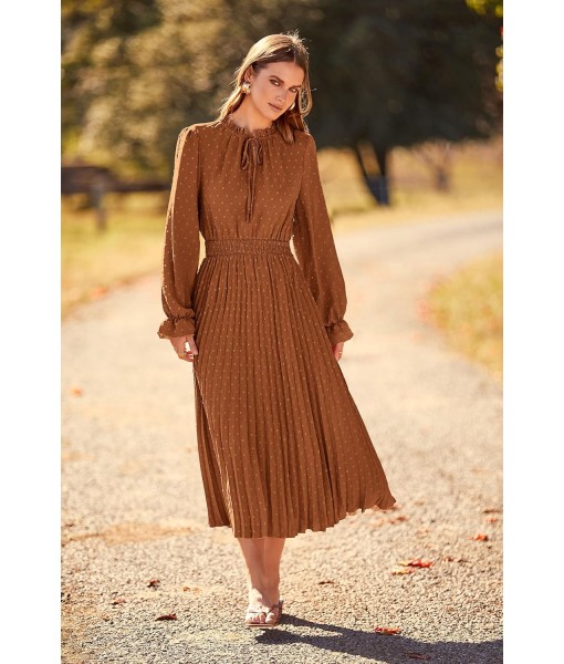 PRETTYGARDEN Women's 2025 Spring Fall Midi Dress Casual Long Sleeve V Neck Swiss Dot Pleated A Line Flowy Dresses