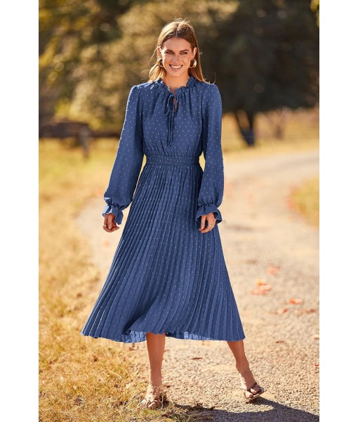 PRETTYGARDEN Women's 2025 Spring Fall Midi Dress Casual Long Sleeve V Neck Swiss Dot Pleated A Line Flowy Dresses