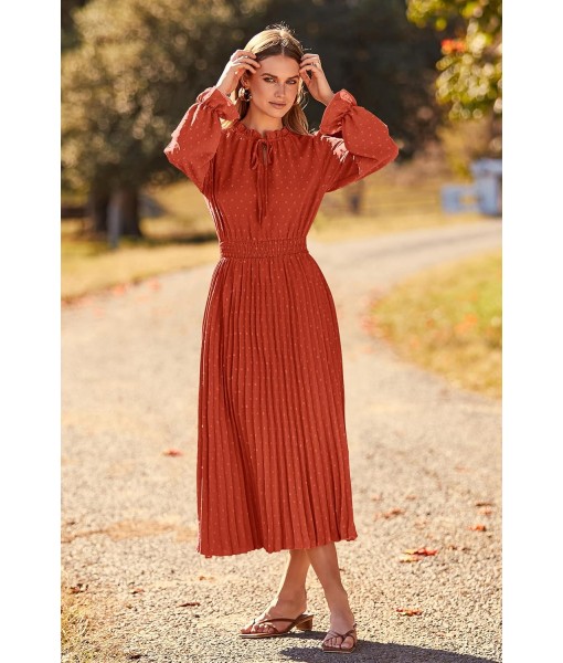 PRETTYGARDEN Women's 2025 Spring Fall Midi Dress Casual Long Sleeve V Neck Swiss Dot Pleated A Line Flowy Dresses
