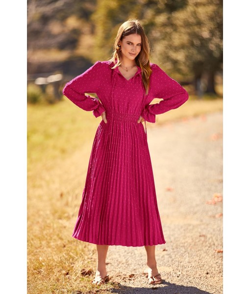 PRETTYGARDEN Women's 2025 Spring Fall Midi Dress Casual Long Sleeve V Neck Swiss Dot Pleated A Line Flowy Dresses