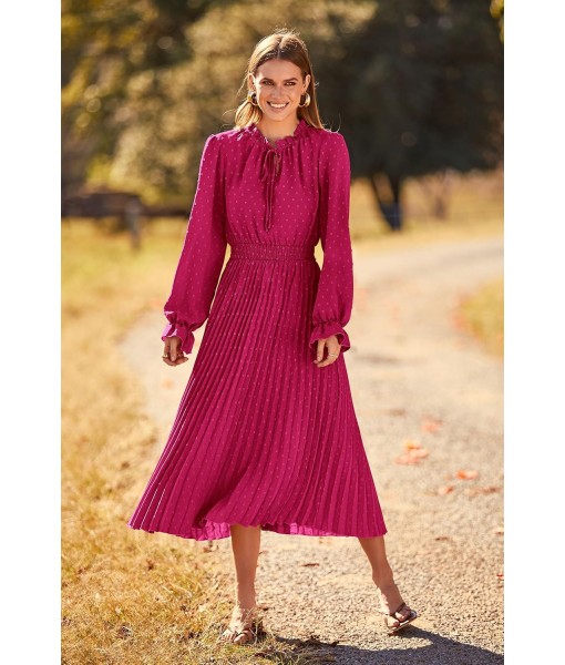 PRETTYGARDEN Women's 2025 Spring Fall Midi Dress Casual Long Sleeve V Neck Swiss Dot Pleated A Line Flowy Dresses