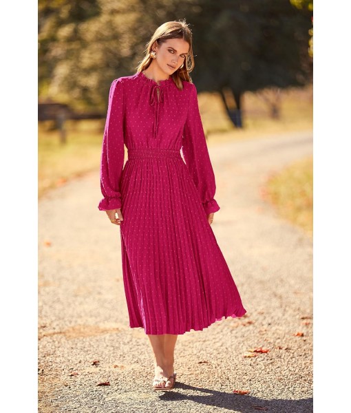 PRETTYGARDEN Women's 2025 Spring Fall Midi Dress Casual Long Sleeve V Neck Swiss Dot Pleated A Line Flowy Dresses