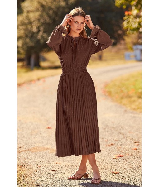 PRETTYGARDEN Women's 2025 Spring Fall Midi Dress Casual Long Sleeve V Neck Swiss Dot Pleated A Line Flowy Dresses