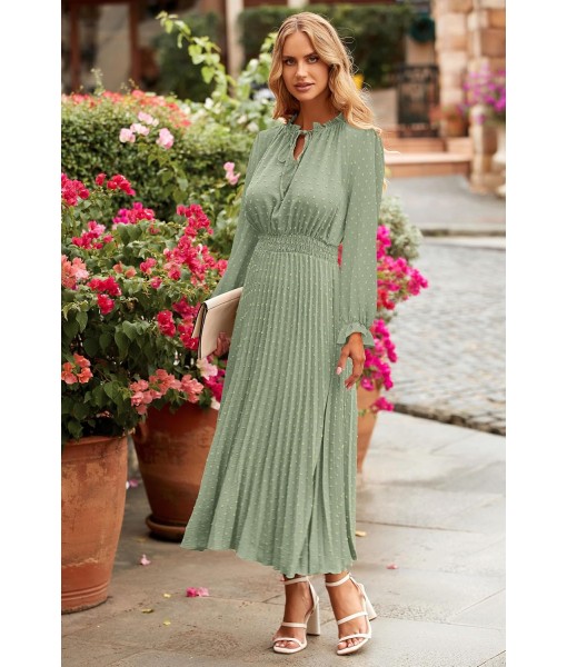 PRETTYGARDEN Women's 2025 Spring Fall Midi Dress Casual Long Sleeve V Neck Swiss Dot Pleated A Line Flowy Dresses
