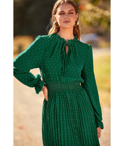 PRETTYGARDEN Women's 2025 Spring Fall Midi Dress Casual Long Sleeve V Neck Swiss Dot Pleated A Line Flowy Dresses