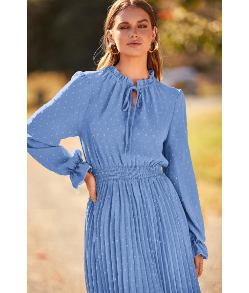PRETTYGARDEN Women's 2025 Spring Fall Midi Dress Casual Long Sleeve V Neck Swiss Dot Pleated A Line Flowy Dresses