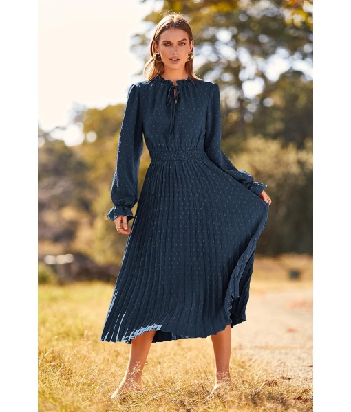 PRETTYGARDEN Women's 2025 Spring Fall Midi Dress Casual Long Sleeve V Neck Swiss Dot Pleated A Line Flowy Dresses