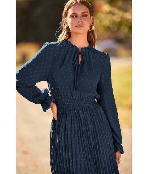 PRETTYGARDEN Women's 2025 Spring Fall Midi Dress Casual Long Sleeve V Neck Swiss Dot Pleated A Line Flowy Dresses